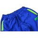 Спортивные штаны BERSERK MOBILITY blue