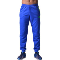 Спортивные штаны BERSERK MOBILITY blue