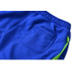 Спортивные штаны BERSERK MOBILITY blue