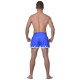 Шорты Berserk-sport  Muay Thai Fighter blue