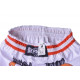 Шорты Berserk-sport  Muay Thai Fighter white