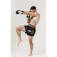 Шорти BERSERK THAI TIGER black