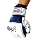 Перчатки ММА Fairtex Sparring Gloves