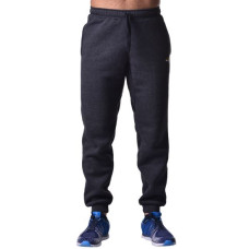 Спортивные штаны BERSERK PREMIUM dark grey (с начесом)