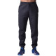 Спортивные штаны BERSERK PREMIUM dark grey (с начесом)