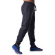 Спортивные штаны BERSERK PREMIUM dark grey (с начесом)