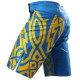 Шорты BERSERK HETMAN blue
