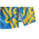 Шорты BERSERK HETMAN blue