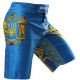 Шорты BERSERK HETMAN blue