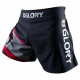 Шорты Hayabusa Glory Kickboxing Shorts Black