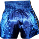 Шорты Fairtex BS 0603