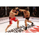 перчатки для ММА WSOF MMA Glove by Fuji Sports