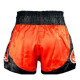 Шорты Muay Thai Fairtex BS0611