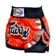 Шорты Muay Thai Fairtex BS0611