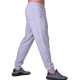 Спортивные штаны BERSERK PREMIUM grey