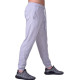 Спортивные штаны BERSERK PREMIUM grey