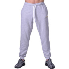 Спортивные штаны BERSERK PREMIUM grey