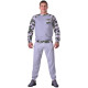 Спортивные штаны BERSERK PREMIUM grey