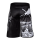 шорты для ММА FUJI Sakana Board Shorts 