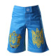 Шорты BERSERK HETMAN KIDS blue