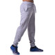 Спортивные штаны BERSERK PREMIUM grey (с начесом)