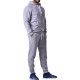 Спортивные штаны BERSERK PREMIUM grey (с начесом)