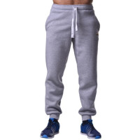Спортивные штаны BERSERK PREMIUM grey (с начесом)