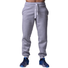 Спортивные штаны BERSERK PREMIUM grey (с начесом)