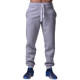 Спортивные штаны BERSERK PREMIUM grey (с начесом)