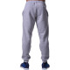 Спортивные штаны BERSERK PREMIUM grey (с начесом)