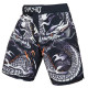 Шорты ММА Dragons Flyght Cody Lundin Replika Venum