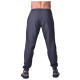 Спортивные штаны BERSERK PREMIUM dark grey