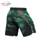 Шорты для MMA Green Viper Venum Replica