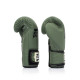 Боксерські рукавиці Fairtex BGV11 Green 12 унцій