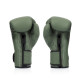 Боксерські рукавиці Fairtex BGV11 Green 12 унцій