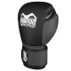 Боксерські рукавиці Phantom Reaper Black12 унцій