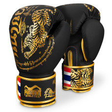 Боксерські рукавиці Phantom Muay Thai Black Gold 16 унцій