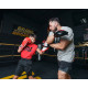 Лапи боксерські TITLE Boxing Valiant Punch Mitts - Black/Silver