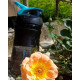 Шейкер спортивний (пляшка) BlenderBottle SportMixer 20oz/590ml Black/Teal (Original)