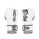Боксерські рукавиці Fairtex BGVG1 White 12 унцій