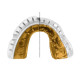 Капа OPRO Gold Braces під брекети доросла (вік 11+) Clearl (art.102506006)