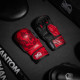 Рукавиці для ММА Phantom Muay Thai Red S/M (капа в комплекті)