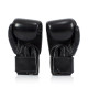 Боксерські рукавиці Fairtex BGV1 Black 10 унцій