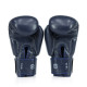 Боксерські рукавиці Fairtex BGV27 Blue 12 унцій