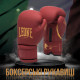 Боксерські рукавиці Leone GN059X BORDEAUX ED 12 унцій