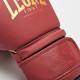 Боксерські рукавиці Leone GN059X BORDEAUX ED 12 унцій