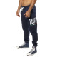 Спортивні штани Leone Fleece Blue S