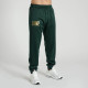 Спортивний костюм Leone Premium Green S