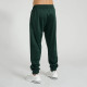 Спортивний костюм Leone Premium Green S