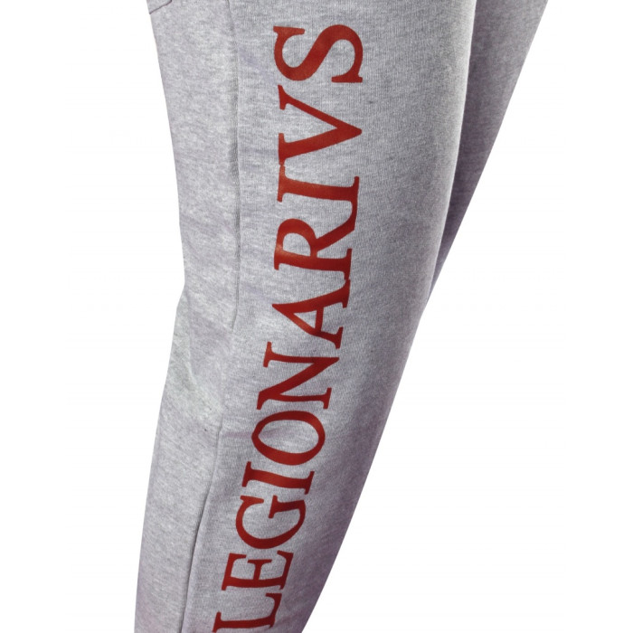 Спортивні штани Leone Legionarivs Fleece Grey S